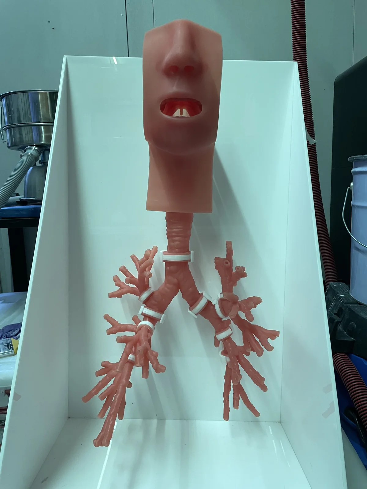 側面角度，可見分段接環